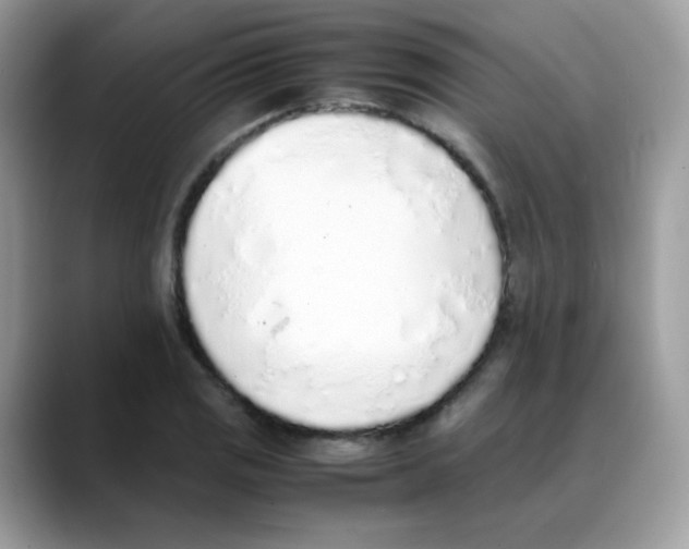 X0000088151125200706111438