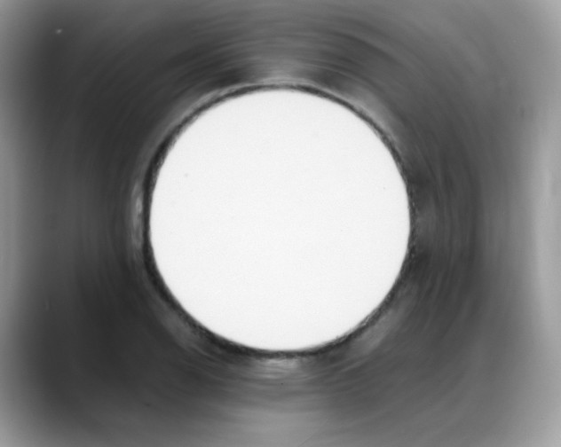 X0000088151126200706111438