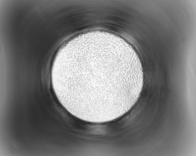 X0000088151127200706111439