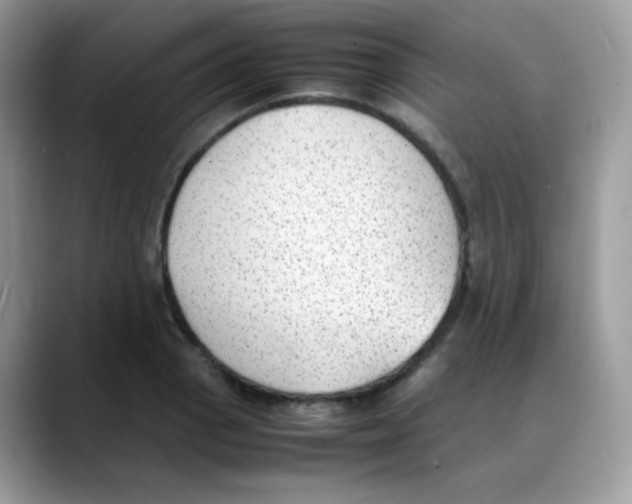 X0000088151129200706111439