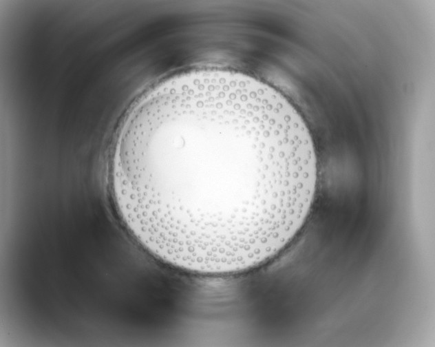 X0000088151130200706111439