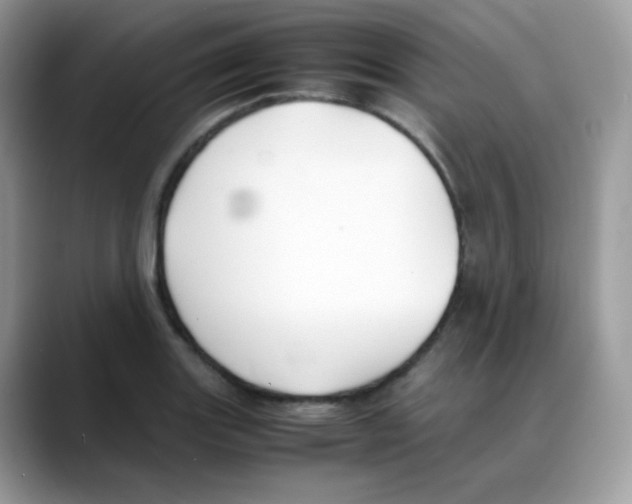 X0000088151131200706111439