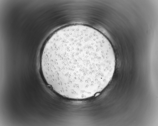 X0000088151132200706111439