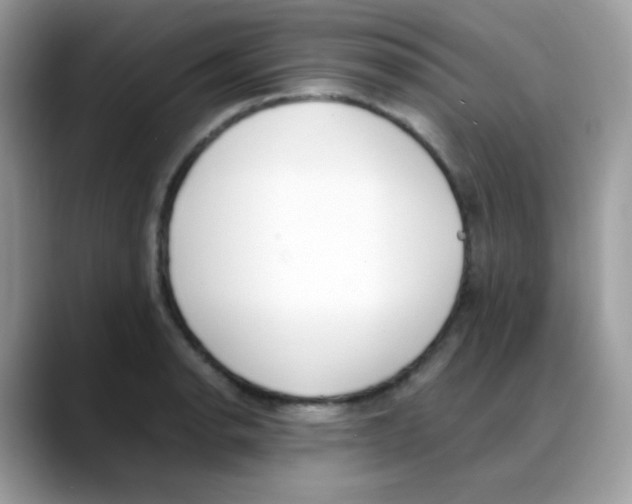 X0000088151134200706111439