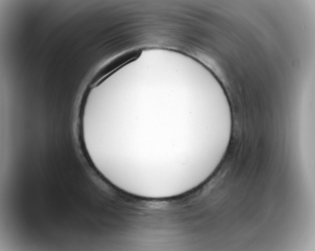 X0000088151136200706111439