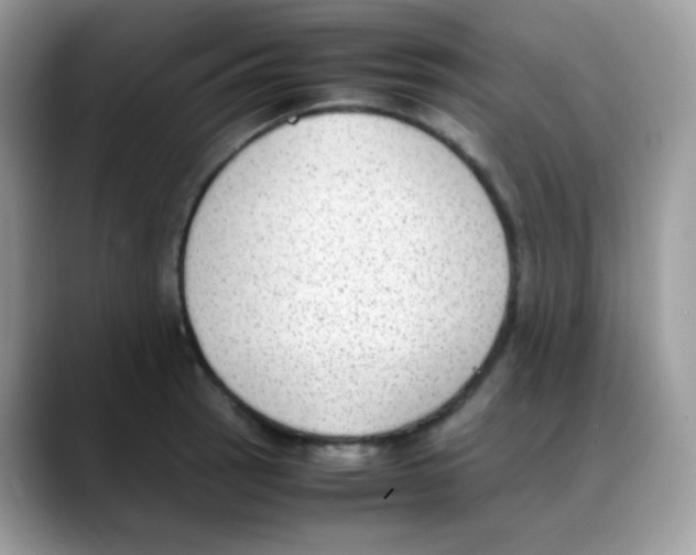 X0000088151137200706111439