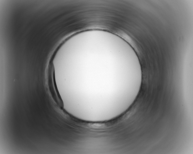 X0000088151140200706111439