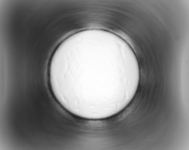 X0000088151142200706111439