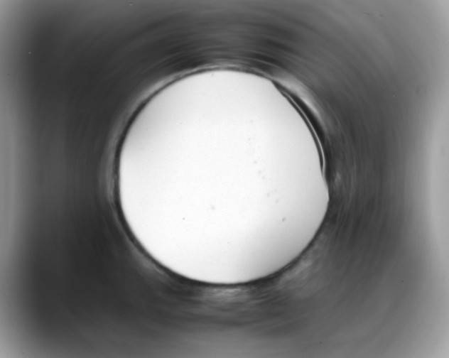 X0000088151143200706111439