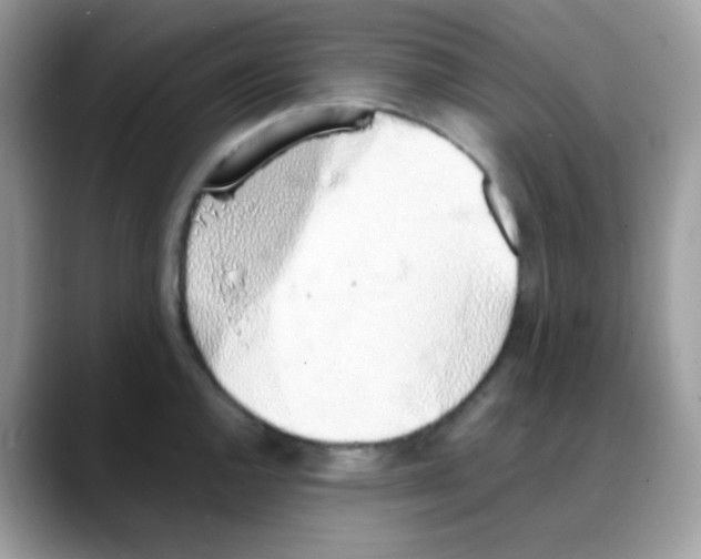 X0000088151144200706111439