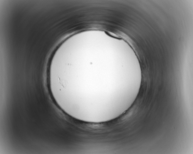 X0000088151147200706111439