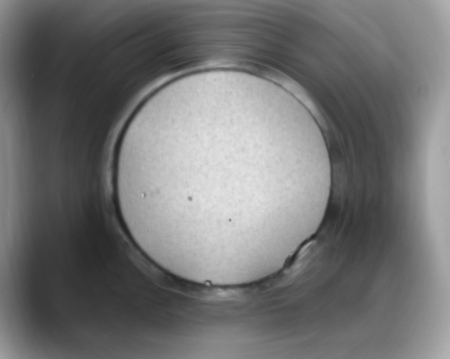 X0000088151148200706111439