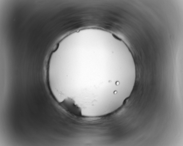 X0000088151151200706111439