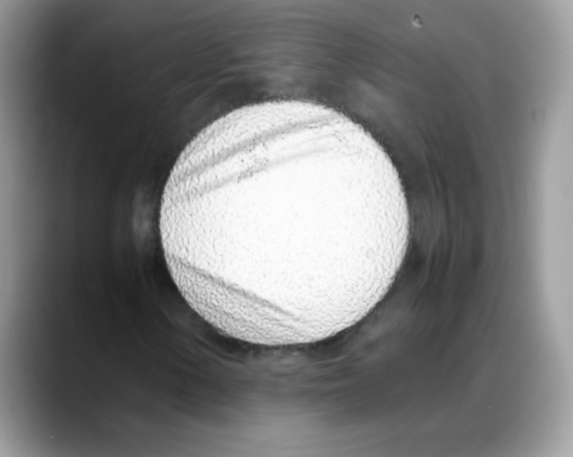 X0000088151154200706111438