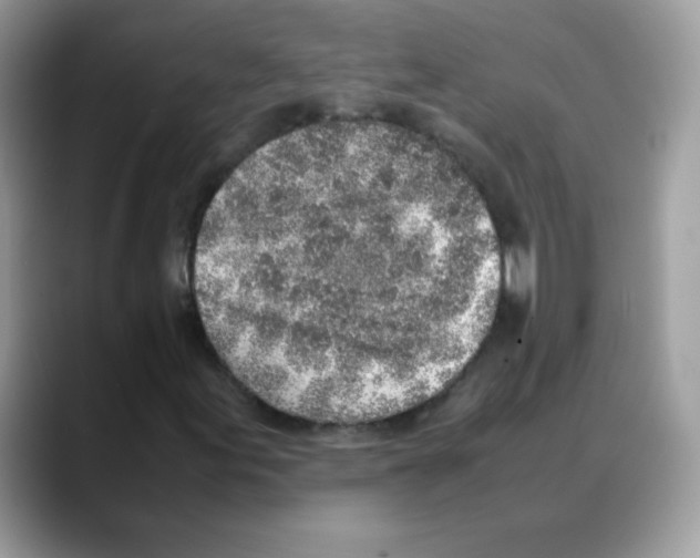 X0000088151155200706111438