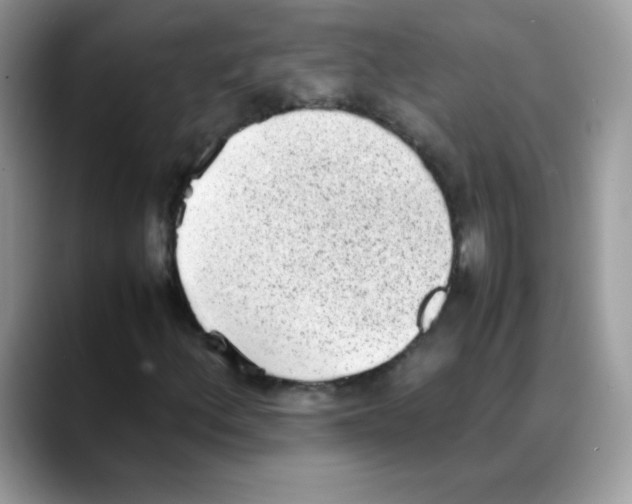 X0000088151156200706111438