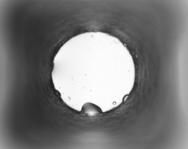 X0000088151157200706111438