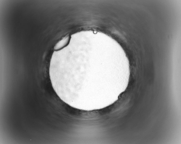 X0000088151159200706111438