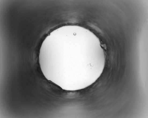 X0000088151160200706111438