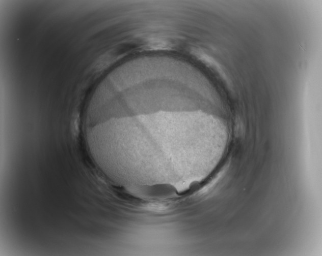 X0000088151161200706111438