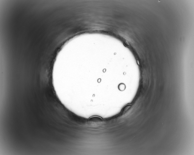 X0000088151163200706111438