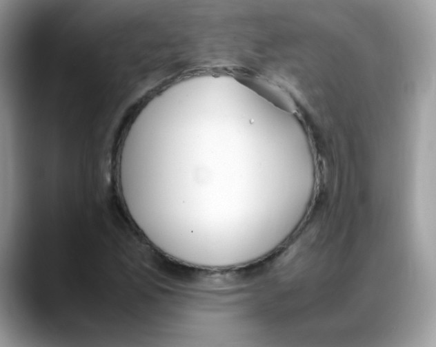 X0000088151165200706111438