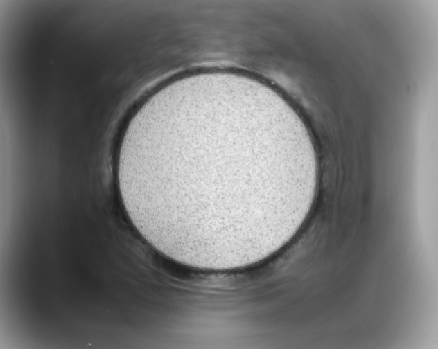 X0000088151167200706111438