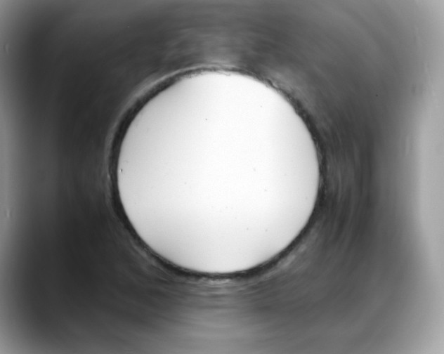 X0000088151168200706111438