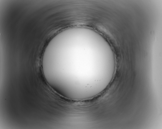 X0000088151169200706111438