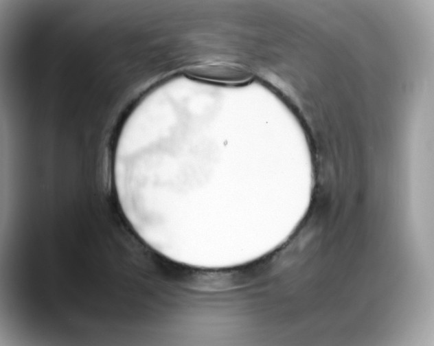 X0000088151171200706111438