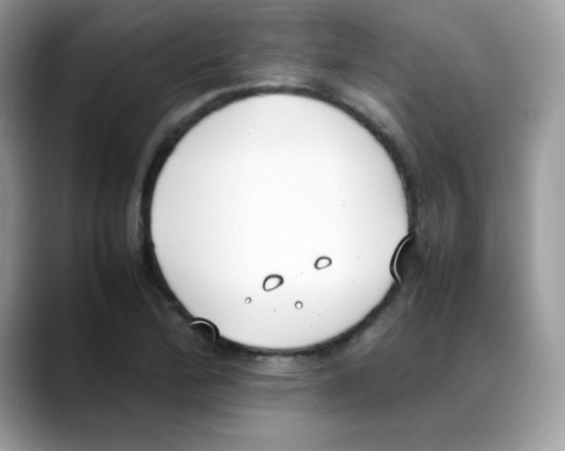 X0000088151172200706111438