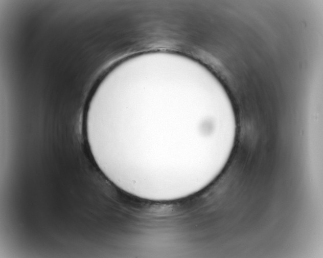 X0000088151174200706111438