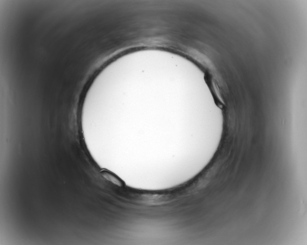 X0000088151176200706111438