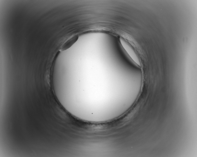 X0000088151177200706111438