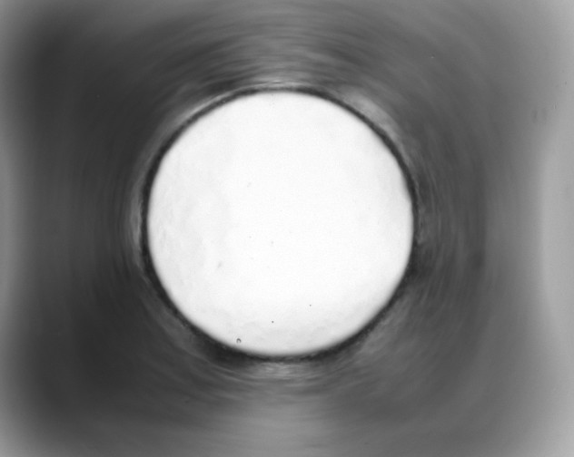 X0000088151179200706111438