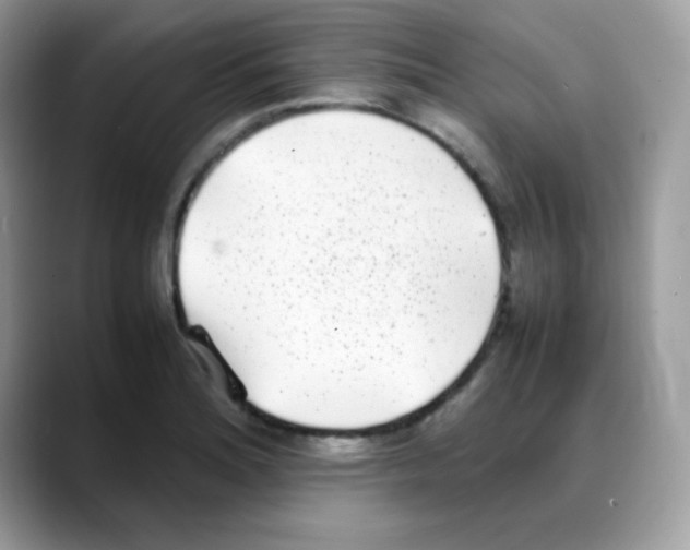 X0000088151180200706111438