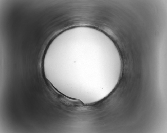 X0000088151181200706111438