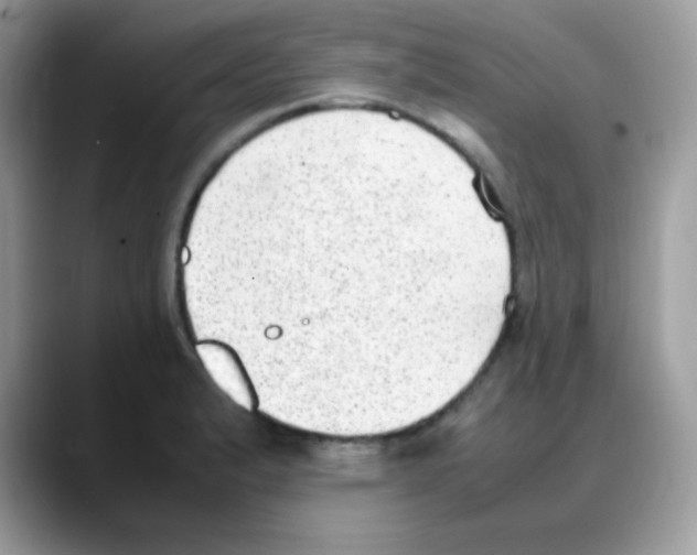 X0000088151183200706111438