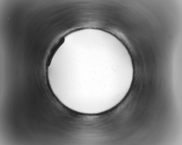 X0000088151184200706111438