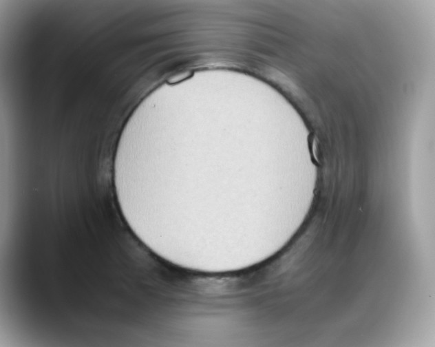 X0000088151185200706111438