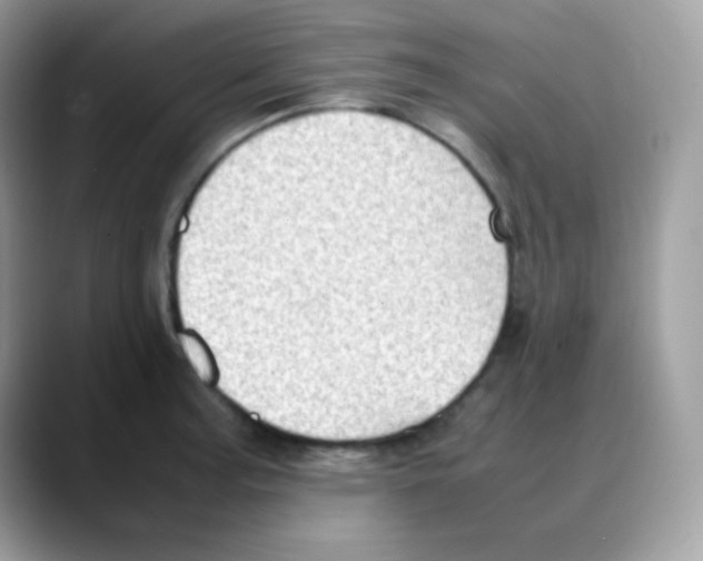 X0000088151187200706111438