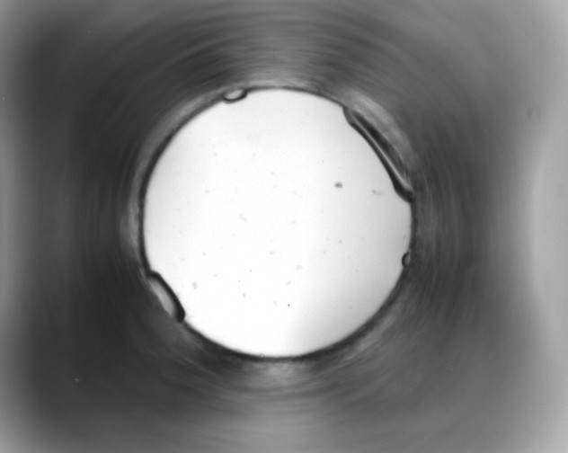 X0000088151188200706111438