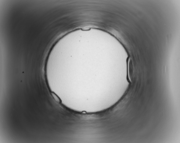 X0000088151189200706111438