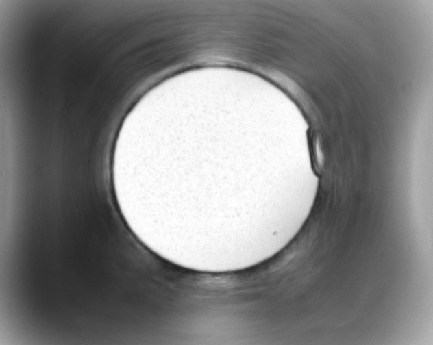 X0000088151191200706111438