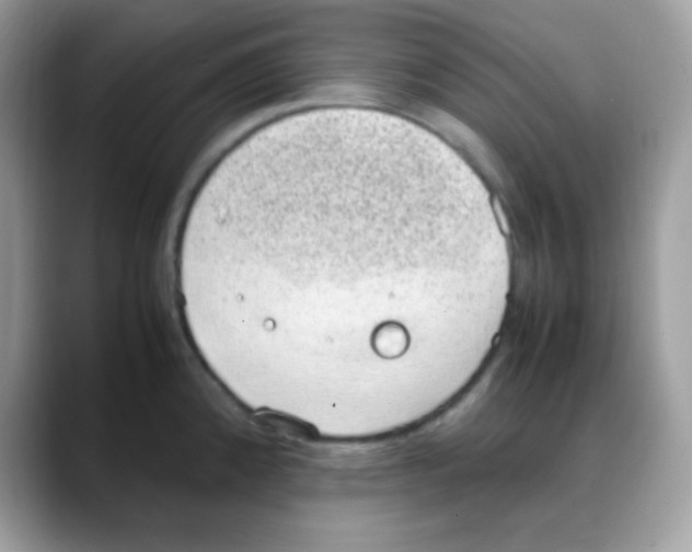 X0000088151192200706111438