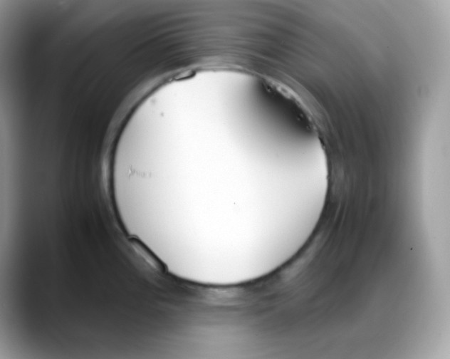 X0000088151196200706111438