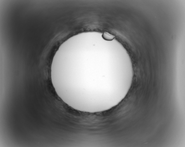 X0000088151207200706111437