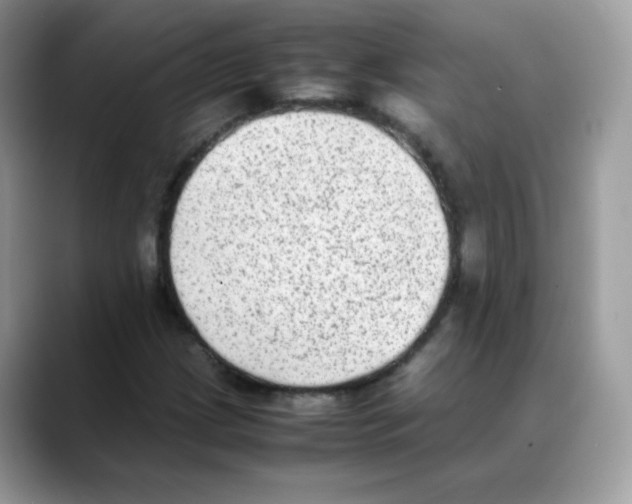 X0000088151209200706111437