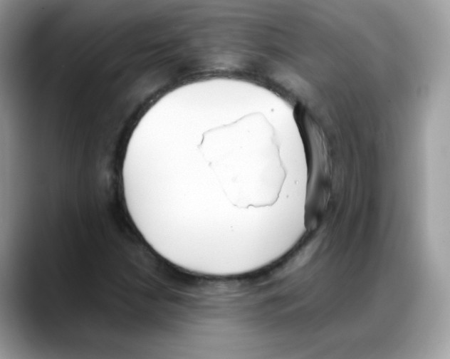 X0000088151210200706111437