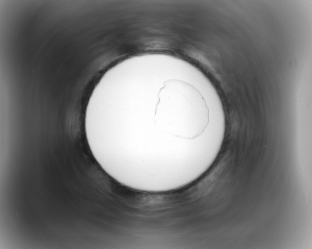 X0000088151211200706111437